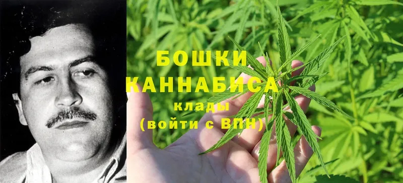 Шишки марихуана VHQ  Николаевск 